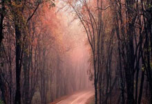 精彩进球连连，球队豪取胜利