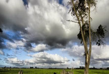 弗赖堡客场逆转战胜对手，取得关键胜利