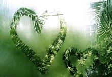 罗马尼亚队备战关键战役，全力备战