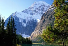 力争上游！叙利亚选手英勇无畏，不畏强敌夺冠