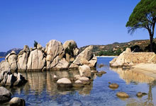 弗赖堡客场逆转战胜对手，取得关键胜利